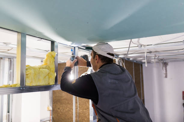 Best Insulation for Specific Applications in Odessa, MO